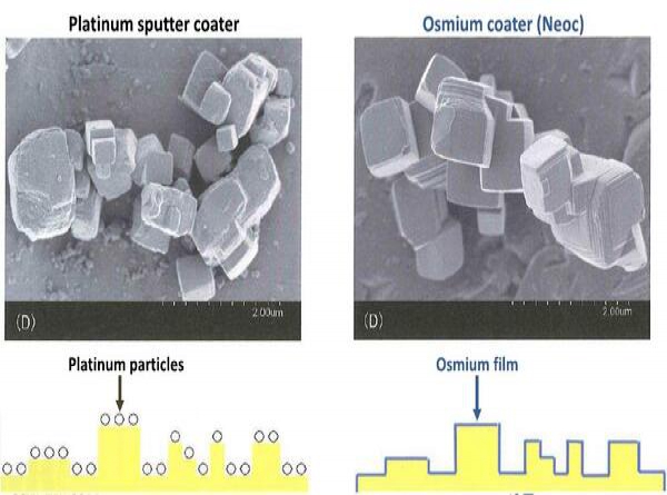 Máy phủ Osmium độ phân giải cao cho kính hiển vi điện tử